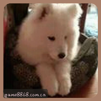孙杰